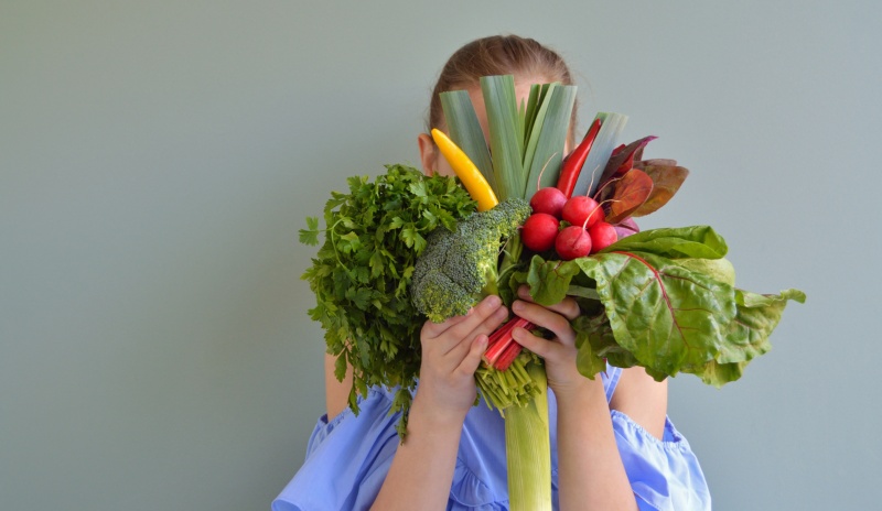 Por Qué Es Importante Llevar Una Alimentación Saludable